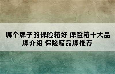 哪个牌子的保险箱好 保险箱十大品牌介绍 保险箱品牌推荐